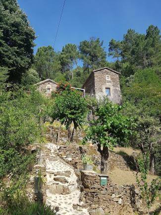 an old stone house on a hill with trees at Le mas des sources cevenol Le chambon in Le Chambon
