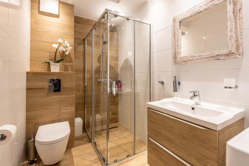a bathroom with a shower and a sink and a toilet at Bella Casa Premium Apartment - 30 Pszczelna in Krakow
