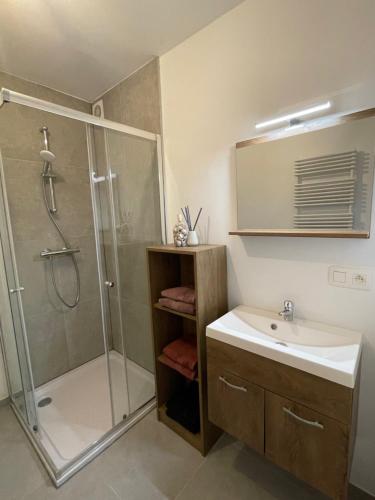 een badkamer met een douche, een wastafel en een douche bij Beau séjour in Bredene