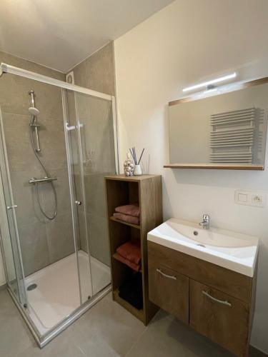 a bathroom with a shower and a sink and a shower at Beau séjour in Bredene