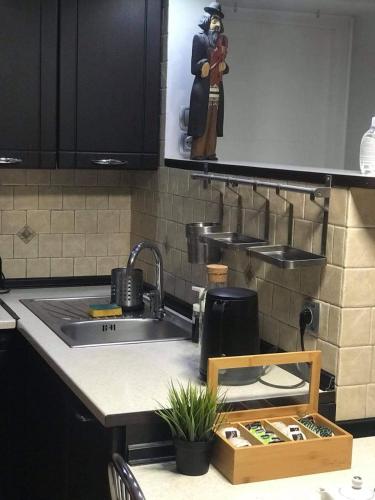 Kuchyň nebo kuchyňský kout v ubytování Fredry 15F