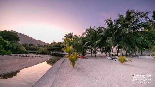 a sandy beach with palm trees and a resort at Jamelah Beach Guest House in Anse aux Pins