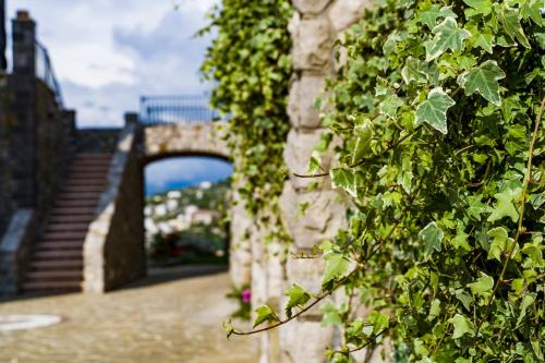 a ivy covered wall with a bridge in the background at Agriresort Villa Edera in Massa Lubrense