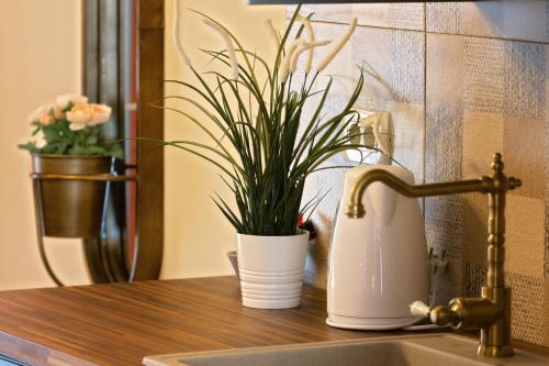 a plant sitting on a kitchen counter next to a sink at Villa Park Plitvice in Rakovica