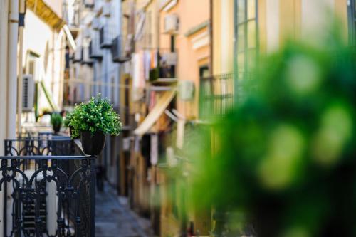 a narrow street with a potted plant on a fence at Incao Holiday Il Moro House in Cefalù