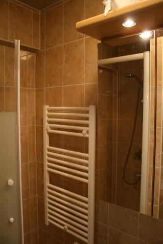 a bathroom with a shower with a shower head at De Strandwandeling 0203 Appartement met frontaal zeezicht in Ostend