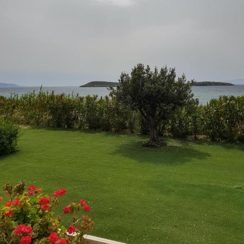 a green yard with a tree and flowers and the water at Kleanthi Apartments in Drios