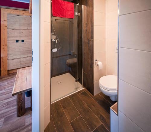 ein Bad mit einer Dusche und einem WC in der Unterkunft Berghotel Bärenstein in Bärenstein