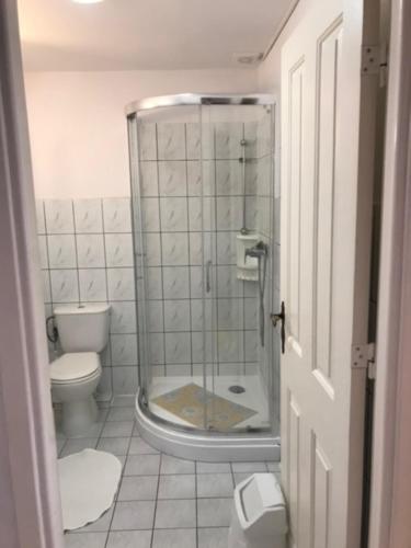 La salle de bains est pourvue de toilettes et d'une douche en verre. dans l'établissement Haus Panorama, à Tylkowo