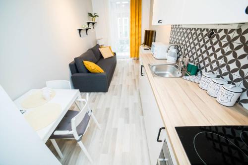 kuchnia i salon z kanapą i umywalką w obiekcie Hey Stay Apartment with private garden w Toruniu