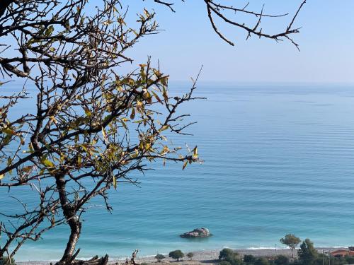 a view of the ocean from behind a tree at Bungalows by B&B Villa Sveva in Rocca Imperiale