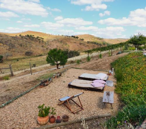a backyard with a picnic table and a bench at Casas de Campo do Castro da Cola in Marchicão