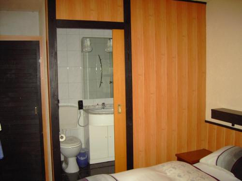 a bathroom with a bed and a toilet and a sink at Hessisches Haus in Roßdorf