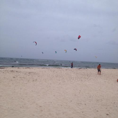 a group of people flying kites on the beach at Sea Shells Villa in Christ Church