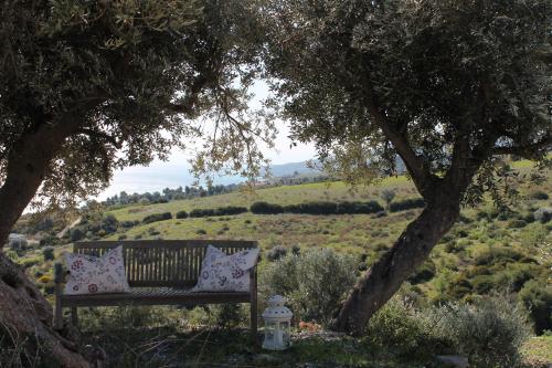 a bench with pillows sitting under a tree at Bungalows by B&B Villa Sveva in Rocca Imperiale