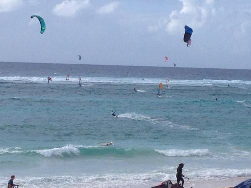 a group of people flying kites in the ocean at Sea Shells Villa in Christ Church