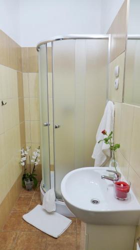 a bathroom with a sink and a shower at Wrzos & Belvedere in Kudowa-Zdrój
