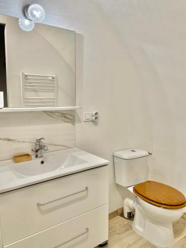une salle de bain avec toilettes, lavabo et miroir dans l'établissement Appartement F2 Duplex, à Sartène