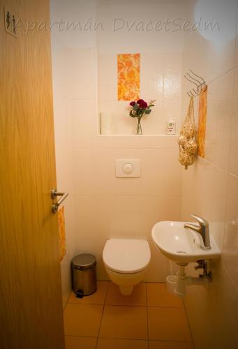 a bathroom with a toilet and a sink at Apartman DvacetSedm in Lipno nad Vltavou