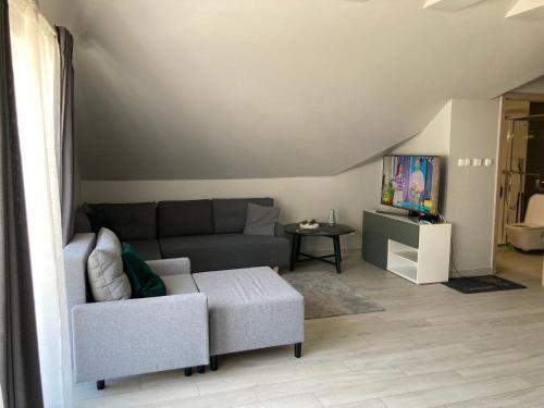 a living room with a couch and a tv at Czarna Góra Haven in Sienna