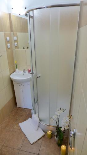 a bathroom with a shower and a sink at Wrzos & Belvedere in Kudowa-Zdrój