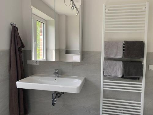 a bathroom with a sink and a mirror at Pfahlbau, Ferienwohnung für 4 Personen - Erwachsene oder Kinder - in DE FEERJENHUSEN am Haubarg von Vollerwiek, Fertigstellung April 2020 in Vollerwiek