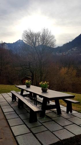 a picnic table with two potted plants on it at Baita Eleonora in Argegno