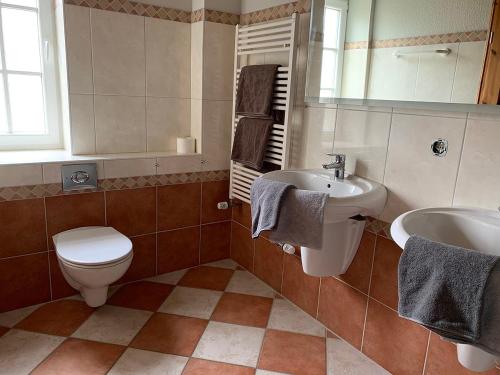 a bathroom with a toilet and a sink and a mirror at Abendstille, Ferienwohnung für maximal 4 Erwachsene und 2 Kinder in DE FEERJENHUSEN am Haubarg von Vollerwiek in Vollerwiek