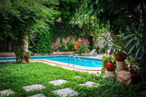 a swimming pool in the middle of a yard at Casa del Balam Merida in Mérida