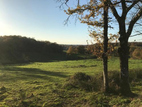 a tree in the middle of a field at Gîte 5/6 personnes aux portes du Périgord in Saint-Adjutory