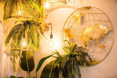 a room with plants and mirrors on a wall at Amadores Beach Apartments in Mogán