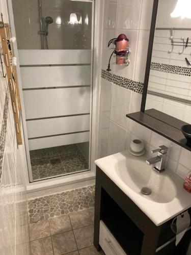 une salle de bain avec une douche, un lavabo et un miroir dans l'établissement Studio Quai Blavet, à Saint-Valery-sur-Somme