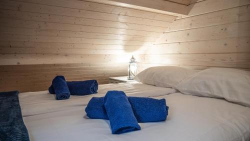 a bedroom with two blue pillows on a bed at Ungru Holiday Houses in Suuresadama
