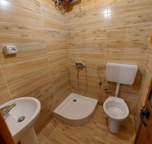 a small bathroom with a toilet and a sink at Camping Farm Shelegur in Leskovik