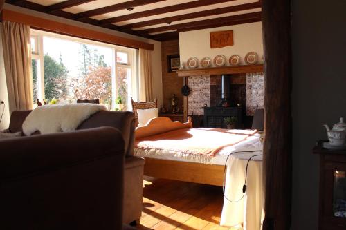 a living room with a bed and a window at De Achterkoert in Halle