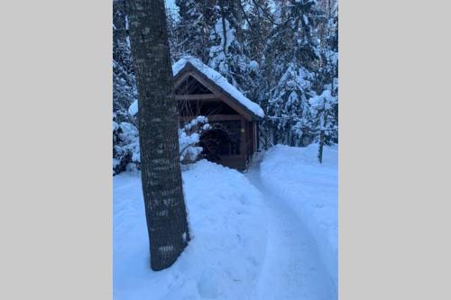 Rustic private Cabin in woods w/ Sauna & Pool v zimě