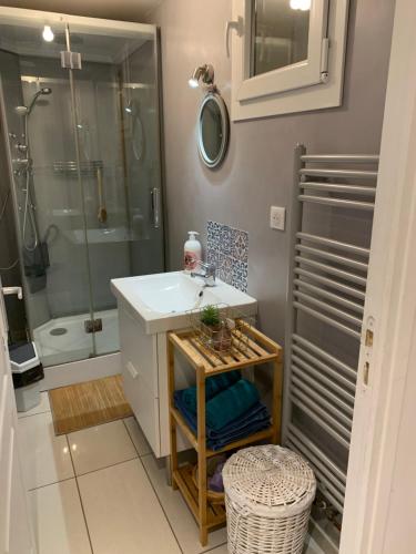une salle de bain avec un lavabo et une douche dans l'établissement Appartement Rez de chaussé maison, à Morbier