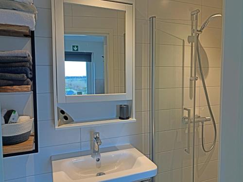 a bathroom with a sink and a shower at Christinahoeve Hooiberg #6 in Boskoop