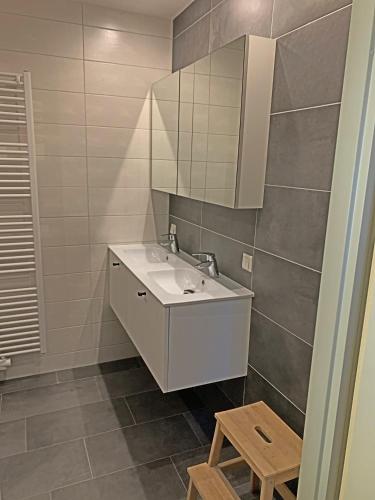 a bathroom with a sink and a mirror at Christinahoeve Oude Deel #4 in Boskoop