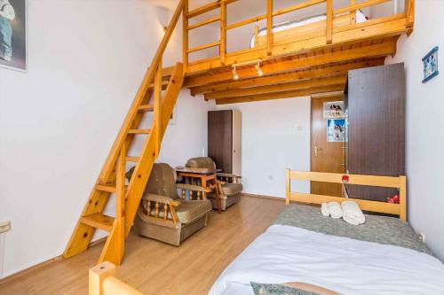 sypialnia z łóżkiem piętrowym i drabiną w obiekcie Apartment in Viskovo 31060 w mieście Viskovo