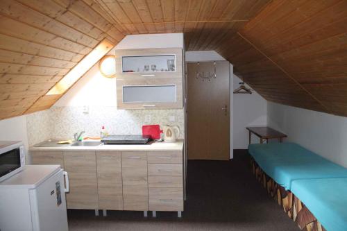 Kuchyň nebo kuchyňský kout v ubytování Holiday home in Pernink/Erzgebirge 34318