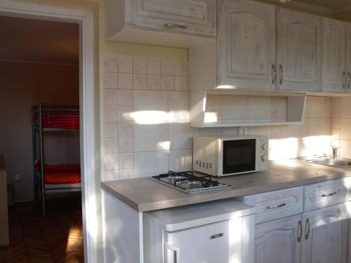 a kitchen with a microwave and a stove top oven at Holiday home in Balatonmariafürdo 26831 in Balatonmáriafürdő