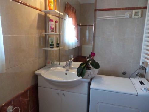 Apartments in Fazana - Istrien 8456