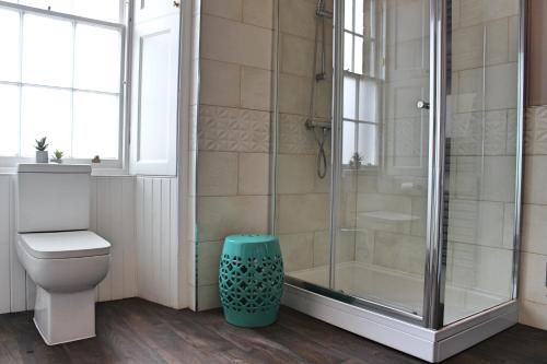 W łazience znajduje się kabina prysznicowa i toaleta. w obiekcie Wallace View Apartment w mieście Stirling