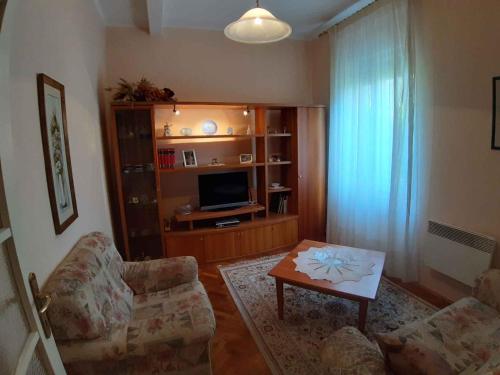 Apartment in Rijeka 27400