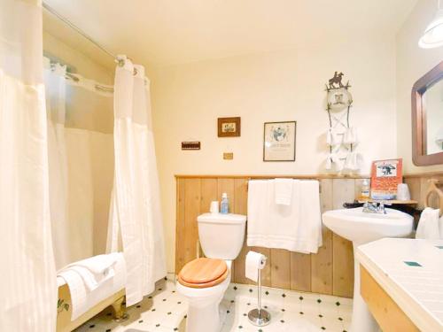 a bathroom with a toilet and a sink at Dawson House Lodge in Chemult