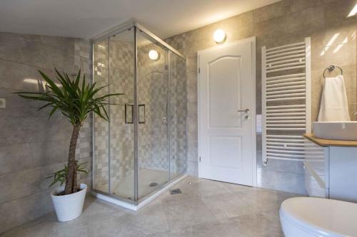 łazienka z prysznicem, toaletą i rośliną w obiekcie Holiday home in Becici 35609 w mieście VeliGolji