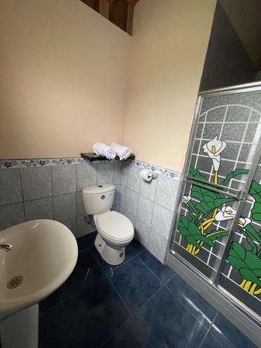 a bathroom with a white toilet and a sink at Casa Cultural Mindo in Mindo