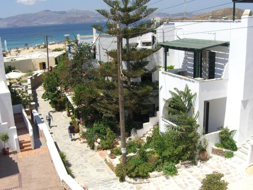 vista aerea di un edificio con una palma su una strada di Pyrgos Beach ad Agios Prokopios