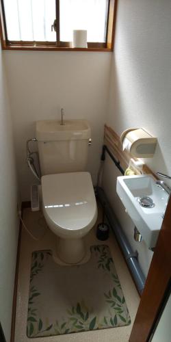 La petite salle de bains est pourvue de toilettes et d'un lavabo. dans l'établissement Akira Peak House Kinugawa, à Kinugawaonsen Ohara